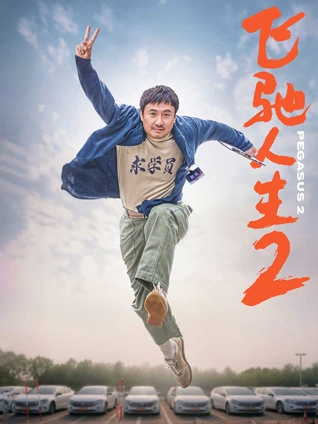 日韩电影 无声证人 高清海报